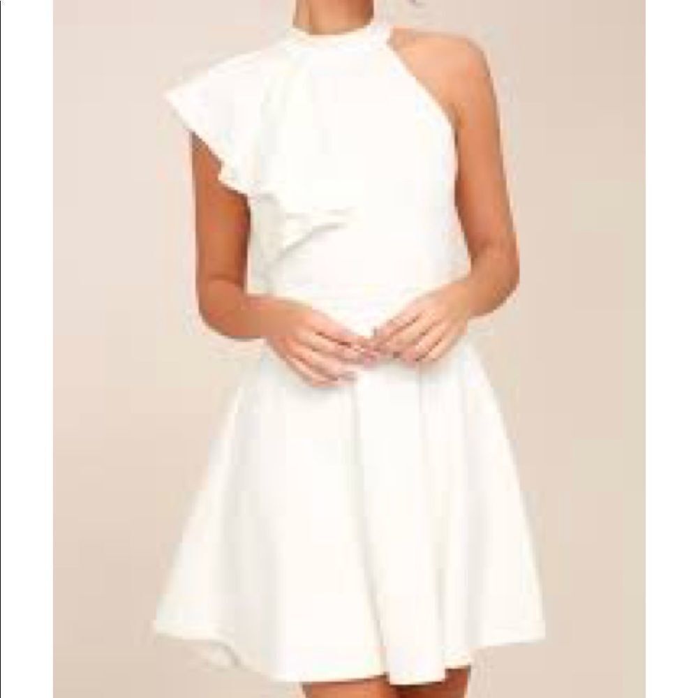 NWT chic skater dress